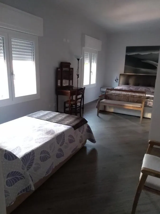 Tom & Jerry Bed and Breakfast Πίζα Ιταλία