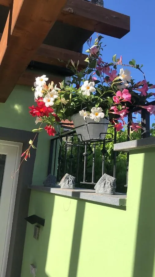 Tom & Jerry Bed and Breakfast Πίζα Ιταλία