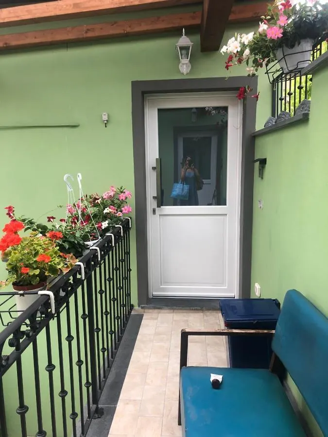 Tom & Jerry Bed and Breakfast Πίζα