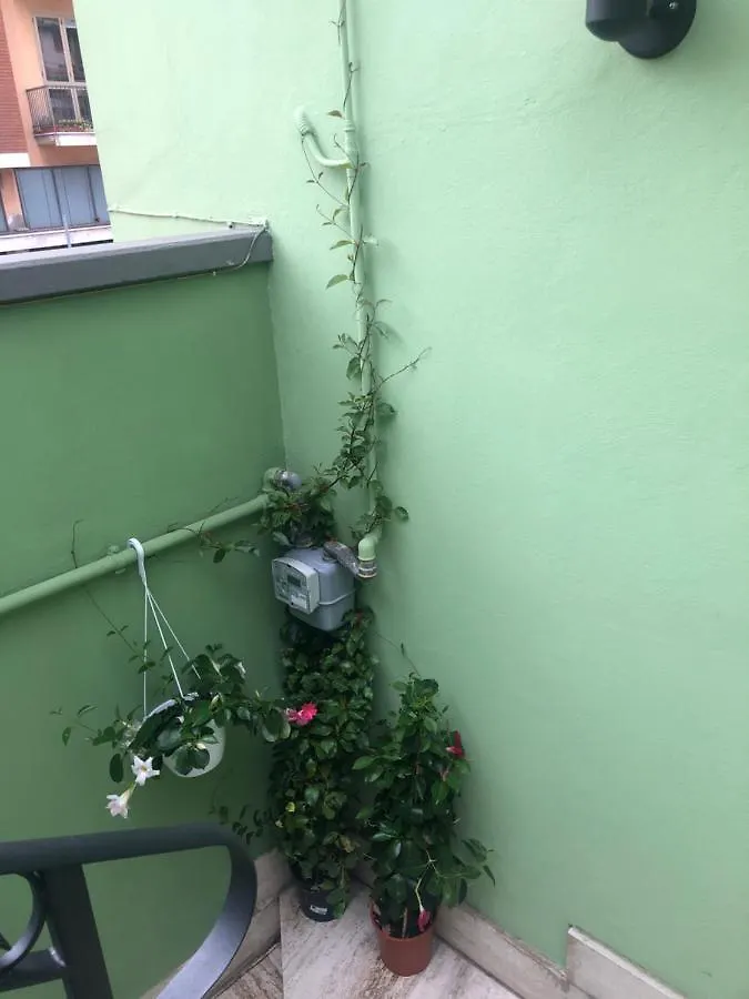 Tom & Jerry Bed and Breakfast Πίζα 0*,