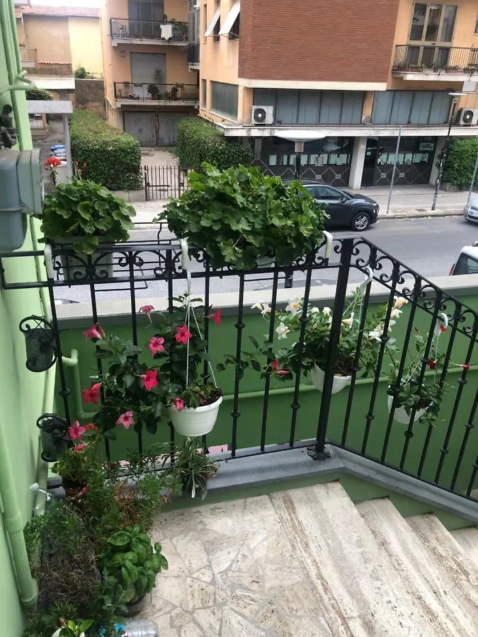 Tom & Jerry Bed and Breakfast Πίζα
